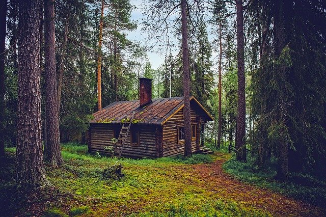 Faire construire une maison écologique en bois : atouts et inconvénients