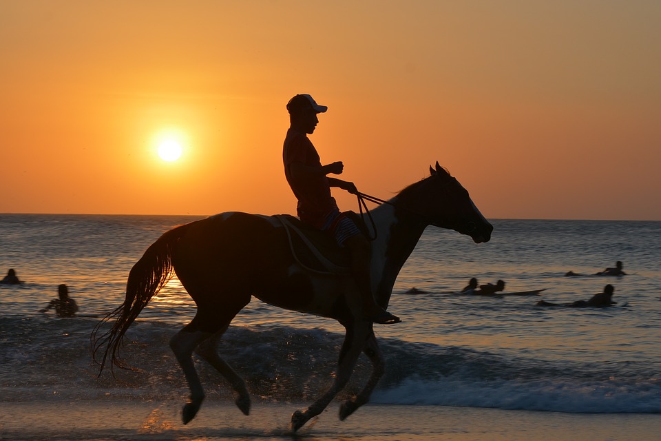 Quand acheter un cheval ?